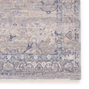 Jaipur Living Jaipur Living Amerie Polyester Oriental Area Rug Vintage Tonal Beige Gray Soft Pile 10' x 14' RUG152998