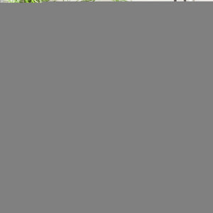 Safavieh Blair Washable Area Rug In Elegant Neutral Tones – Timeless Design, Soft Comfort & Easy Care Beige ,Grey Navy Polyester Blr204b-9