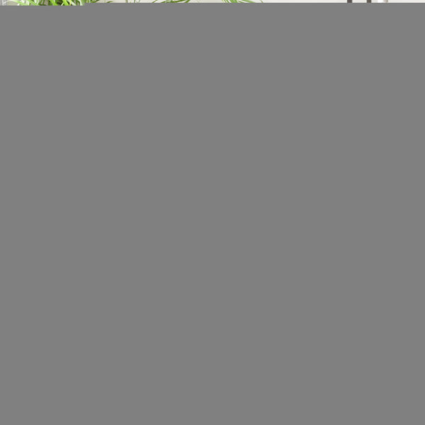 Safavieh Blair Washable Area Rug In Elegant Neutral Tones – Timeless Design, Soft Comfort & Easy Care Beige ,Grey Navy Polyester Blr204b-9