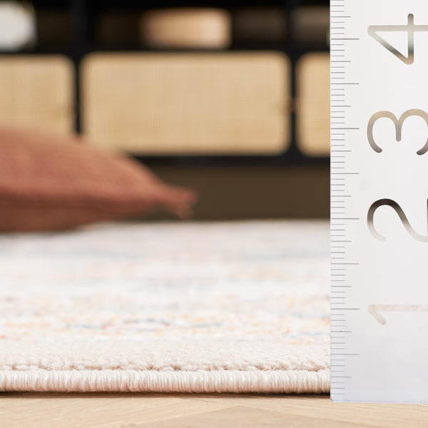 Safavieh Blair Washable Area Rug - Elegant Ivory And Blue Design With Durable Polyester For Timeless Style Ivory ,Blue Polyester Blr240a-5