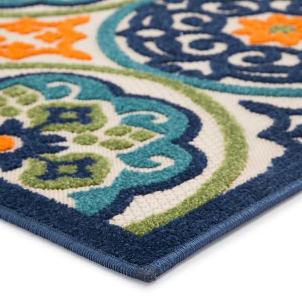 Jaipur Living Jaipur Living Tela Polypropylene Medallion Rug for Patios Foyers and High Traffic Spaces 8'8"X11'10" RUG141408