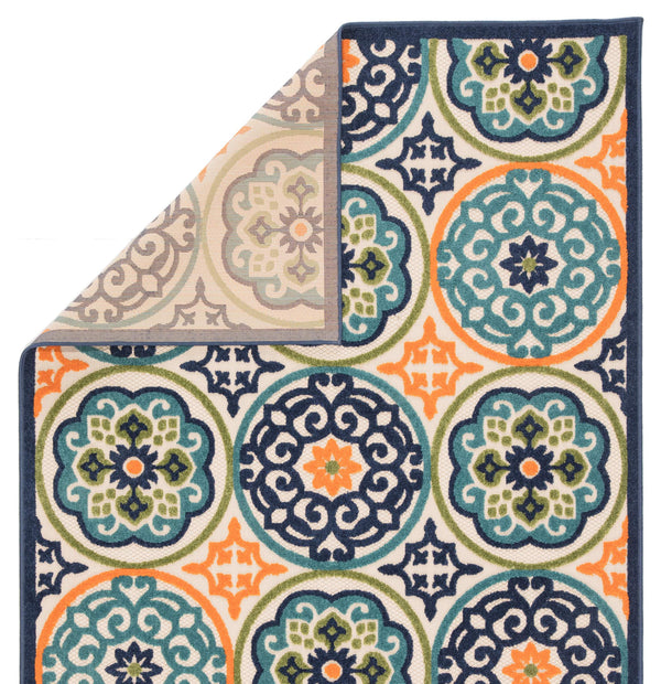 Jaipur Living Jaipur Living Tela Polypropylene Medallion Rug for Patios Foyers and High Traffic Spaces 8'8"X11'10" RUG141408