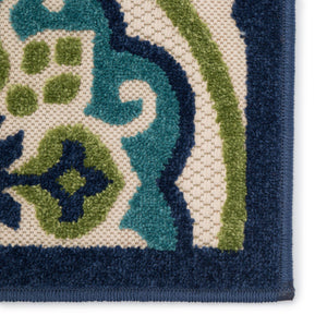 Jaipur Living Jaipur Living Tela Polypropylene Medallion Rug for Patios Foyers and High Traffic Spaces 8'8"X11'10" RUG141408
