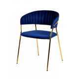 Fabric Upholstered Dining Chair with Metal Legs, Set of 2, Blue and Gold