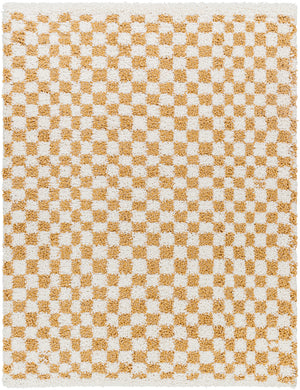 Birmingham BMM-2323 7'10" x 10' Machine Woven Rug BMM2323-71010 Livabliss Surya