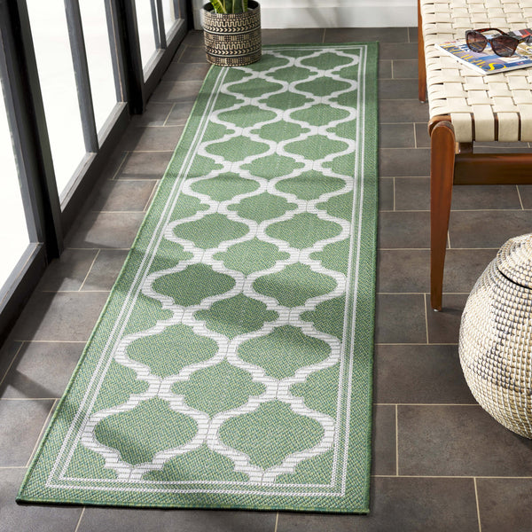 Safavieh Bermuda Exquisite Indoor/Outdoor Area Rug - Timeless Power Loomed Design With Elegant Patterns Green ,Ivory Polypropylene Frize Bmu810w-9