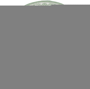 Safavieh Bermuda 9' X 12' Large Rectangle Area Rug - Elegant Green & Ivory, Durable, Oeko-tex Certified Design Green ,Ivory Polypropylene Frize Bmu885y-9