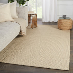 Jaipur Living Bombay Emere Modern Coastal Handmade Indoor Rug Beige 3'x10'