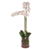 Uttermost Blush Pink And White Orchid 60196 POLYESTER,PLASTIC,IRON,GLASS,GLUE