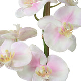 Uttermost Blush Pink And White Orchid 60196 POLYESTER,PLASTIC,IRON,GLASS,GLUE
