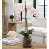 Uttermost Blush Pink And White Orchid 60196 POLYESTER,PLASTIC,IRON,GLASS,GLUE