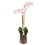 Uttermost Blush Pink And White Orchid 60196 POLYESTER,PLASTIC,IRON,GLASS,GLUE