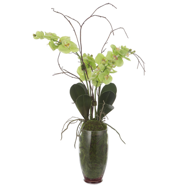 Uttermost Valdive Orchid 60199 POLYESTER,POLYFOAM,PLASTIC,GLASS