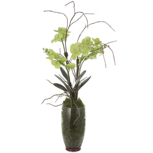 Uttermost Valdive Orchid 60199 POLYESTER,POLYFOAM,PLASTIC,GLASS