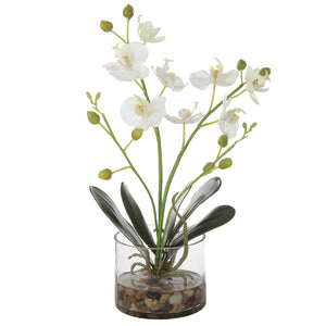 Uttermost Glory Orchid 60201 POLYESTER,PLASTIC,IRON,STONE,GLASS