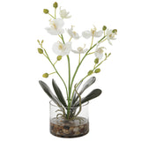 Uttermost Glory Orchid 60201 POLYESTER,PLASTIC,IRON,STONE,GLASS