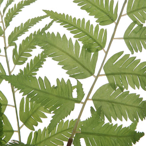 Uttermost Country Ferns, S/2 60202 POLYESTER,PLASTIC,IRON,GLASS