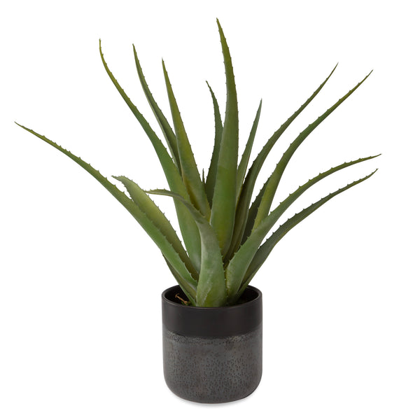 Uttermost Tucson Aloe Planter 60204 LATEX, CERAMIC, FOAM, MOSS