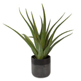 Uttermost Tucson Aloe Planter 60204 LATEX, CERAMIC, FOAM, MOSS