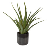 Uttermost Tucson Aloe Planter 60204 LATEX, CERAMIC, FOAM, MOSS