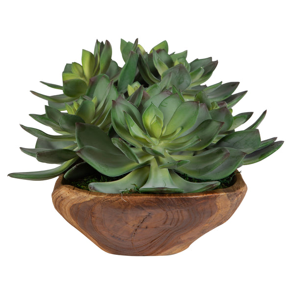 Uttermost Yuma Succulent Centerpiece 60205 WOOD, LATEX, MOSS, FOAM