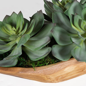 Uttermost Yuma Succulent Centerpiece 60205 WOOD, LATEX, MOSS, FOAM