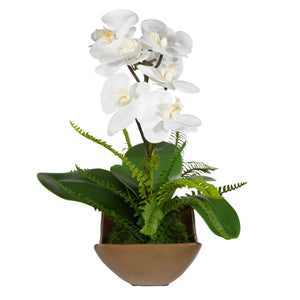 Uttermost Transcend Orchid Centerpiece 60207 POLY SILK,LATEX,ALUMINUM,FOAM,MOSS
