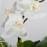 Uttermost Transcend Orchid Centerpiece 60207 POLY SILK,LATEX,ALUMINUM,FOAM,MOSS