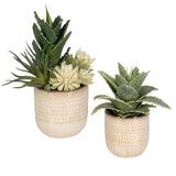 Uttermost Seaside Succulents, Set/2 60208 PLASTIC, CERAMIC, IRON, POLY, GLUE