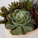 Uttermost Mesa Succulent Accent 60209 PLASTIC, CERAMIC, FOAM, IRON, GLUE