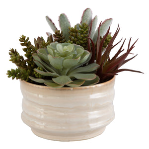 Uttermost Mesa Succulent Accent 60209 PLASTIC, CERAMIC, FOAM, IRON, GLUE