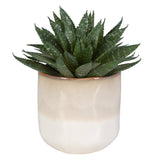 Uttermost Doha Succulent Accent 60213 PLASTIC, CERAMIC, IRON, GLUE