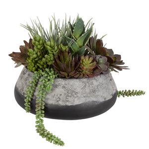 Uttermost Yuma Succulent Centerpiece 60214 PLASTIC, CEMENT, FOAM, GLUE, IRON