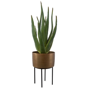 Uttermost Arabia Aloe Planter 60217 FOAM, ALUMINUM, CEMENT, IRON