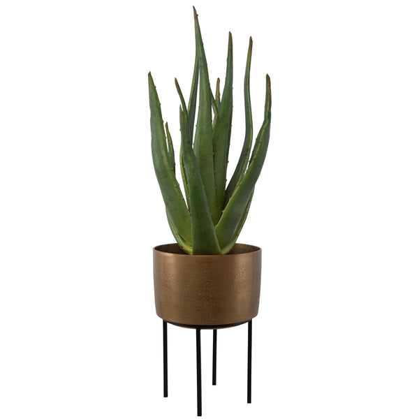 Uttermost Arabia Aloe Planter 60217 FOAM, ALUMINUM, CEMENT, IRON