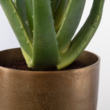 Uttermost Arabia Aloe Planter 60217 FOAM, ALUMINUM, CEMENT, IRON