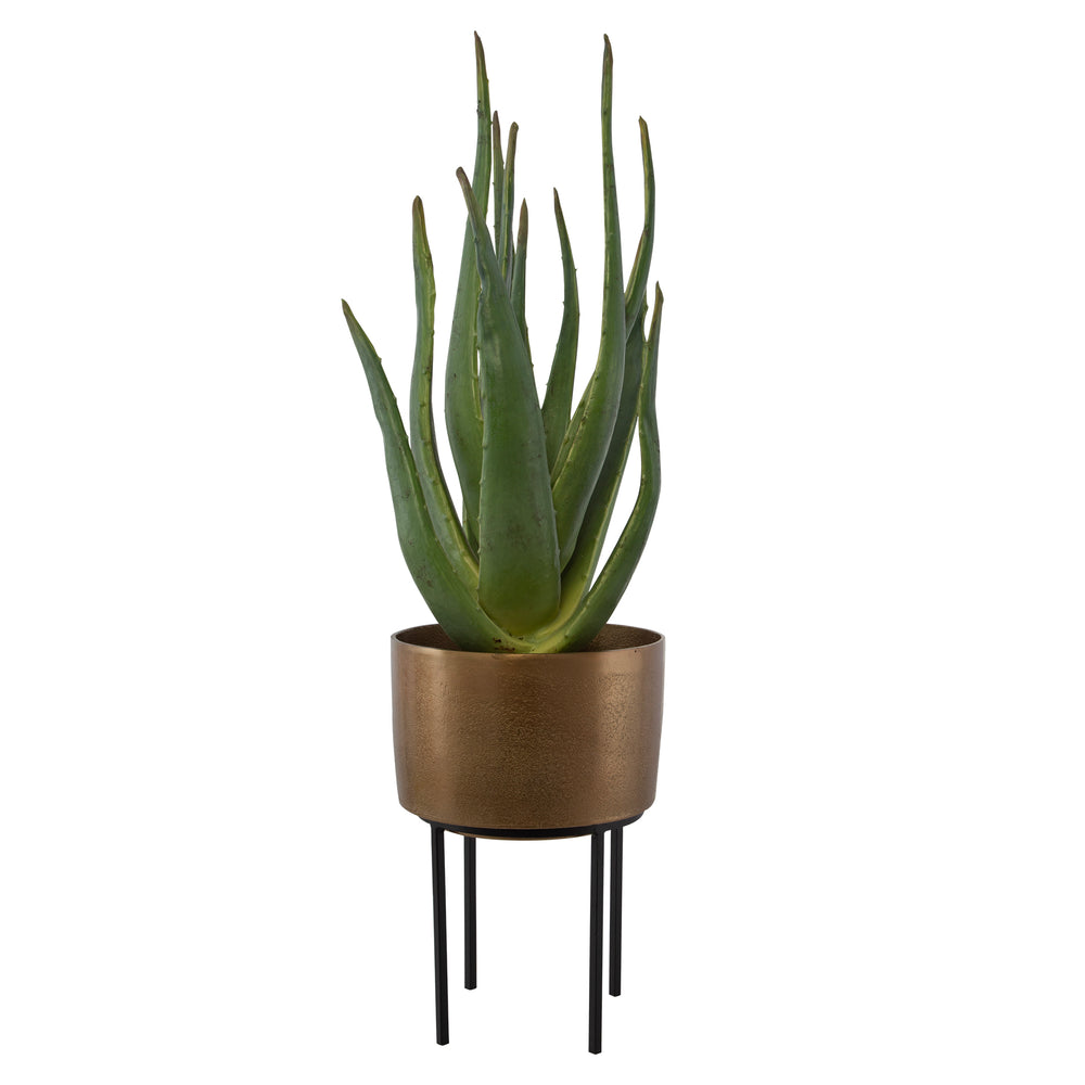Uttermost Arabia Aloe Planter 60217 FOAM, ALUMINUM, CEMENT, IRON