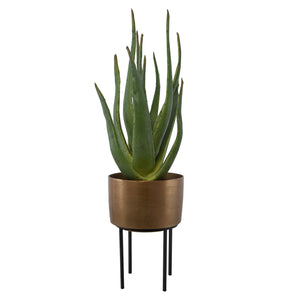 Uttermost Arabia Aloe Planter 60217 FOAM, ALUMINUM, CEMENT, IRON