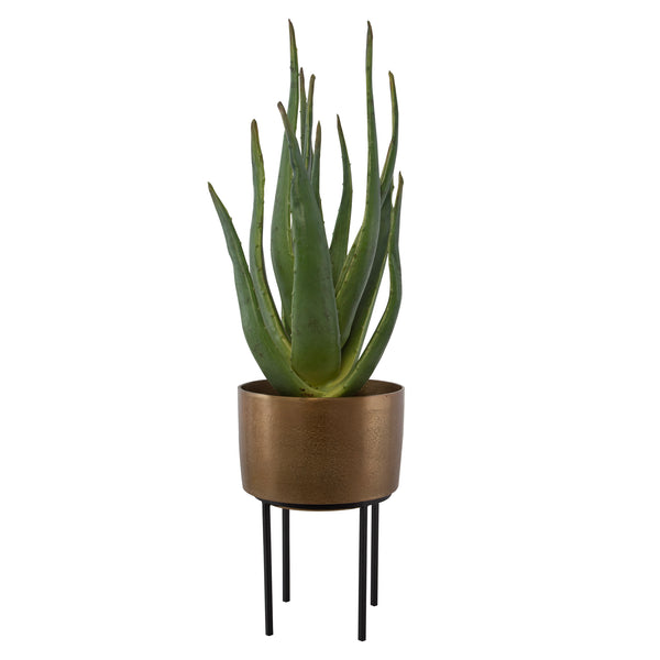 Uttermost Arabia Aloe Planter 60217 FOAM, ALUMINUM, CEMENT, IRON
