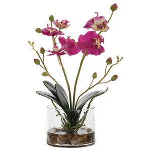 Uttermost Glory Fuchsia Orchid 60220 POLY, PLASTIC, IRON, GLASS, GLUE