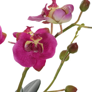 Uttermost Glory Fuchsia Orchid 60220 POLY, PLASTIC, IRON, GLASS, GLUE