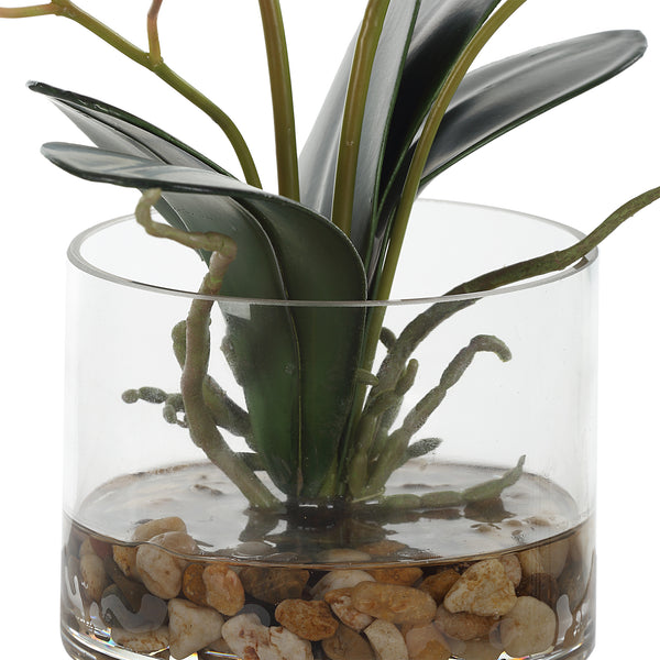 Uttermost Glory Fuchsia Orchid 60220 POLY, PLASTIC, IRON, GLASS, GLUE