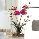Uttermost Glory Fuchsia Orchid 60220 POLY, PLASTIC, IRON, GLASS, GLUE