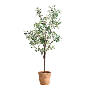 Uttermost Lifelike Olive Tree In Scallop Terracotta Pot - Realistic Foliage And Fruit Clusters!  Polyester,Plastic,Iron Wire,Glue 60241