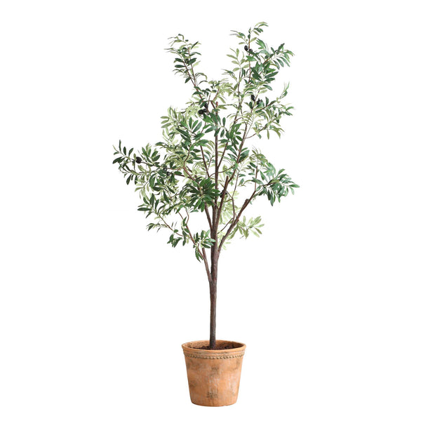 Uttermost Lifelike Olive Tree In Scallop Terracotta Pot - Realistic Foliage And Fruit Clusters!  Polyester,Plastic,Iron Wire,Glue 60241