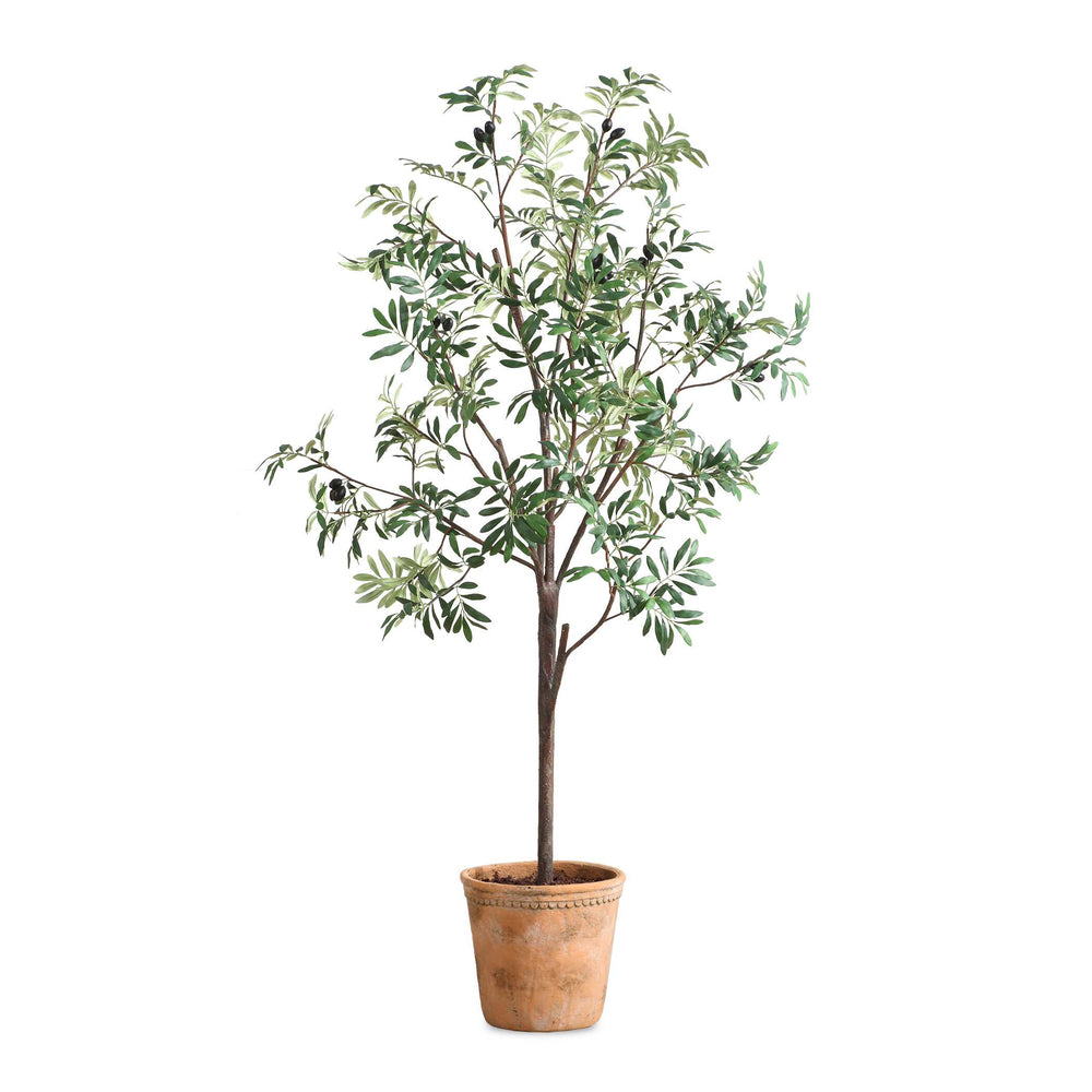 Uttermost Lifelike Olive Tree In Scallop Terracotta Pot - Realistic Foliage And Fruit Clusters!  Polyester,Plastic,Iron Wire,Glue 60241