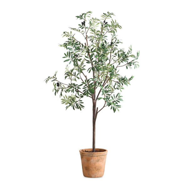 Uttermost Lifelike Olive Tree In Scallop Terracotta Pot - Realistic Foliage And Fruit Clusters!  Polyester,Plastic,Iron Wire,Glue 60241