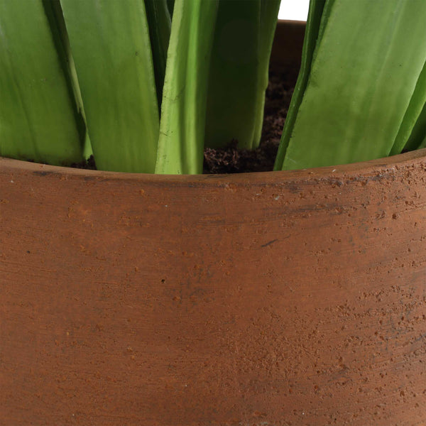 Uttermost Sincerity Potted Hyacinth Plant - Charming White Blooms In Terracotta Planter For Spring Decor  Polyester,Plastic,Polyfoam,Iron Wir 60242