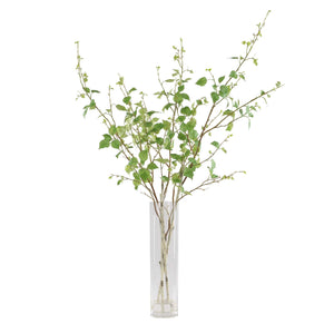 Uttermost Nigra Birch Vase Centerpiece - Lifelike Branches In Glass With Faux Water For Elegant Decor Green Polyester,Plastic,Iron Wire,Glass 60254
