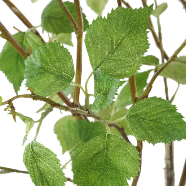Uttermost Nigra Birch Vase Centerpiece - Lifelike Branches In Glass With Faux Water For Elegant Decor Green Polyester,Plastic,Iron Wire,Glass 60254